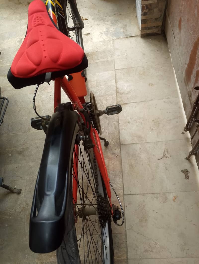 Cycle 4