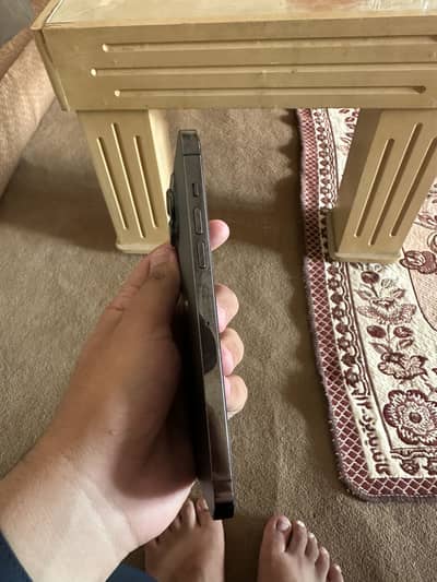 Apple iPhone 13 Pro Max chance