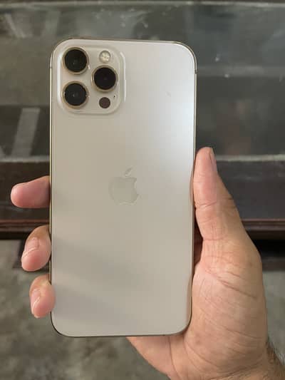 Apple iPhone 12 Pro Max