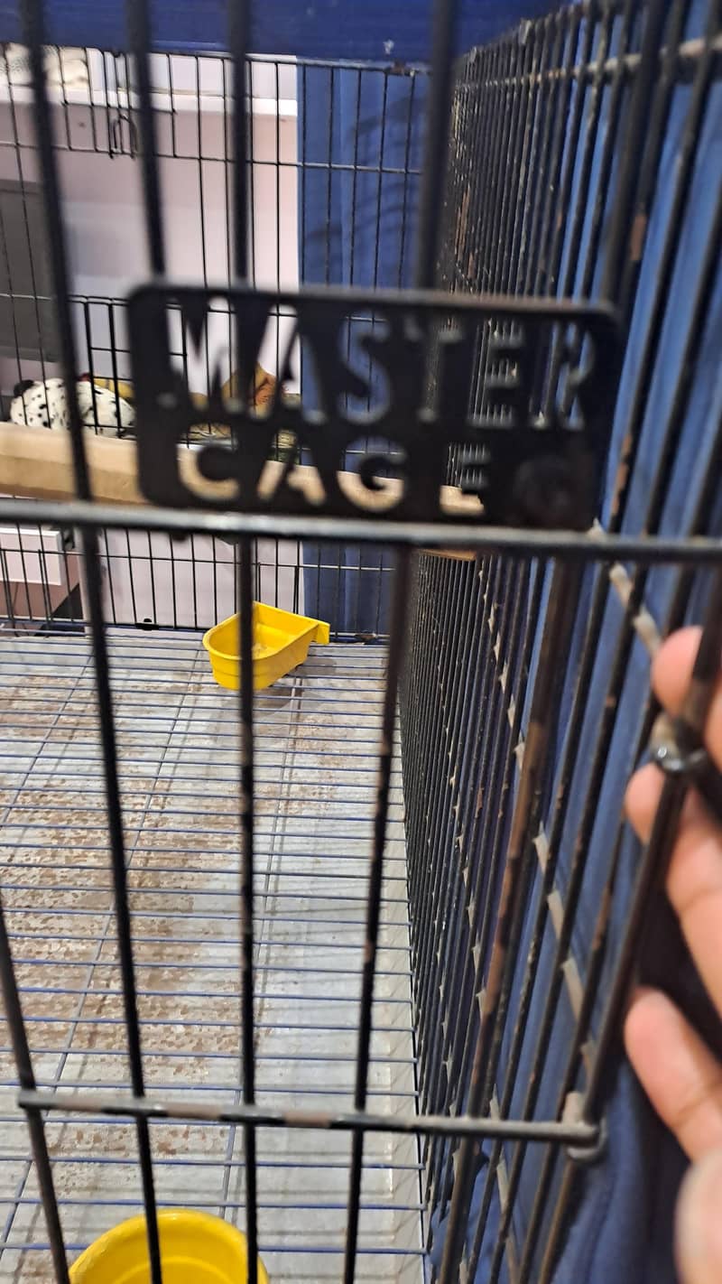 Master Big cage 1