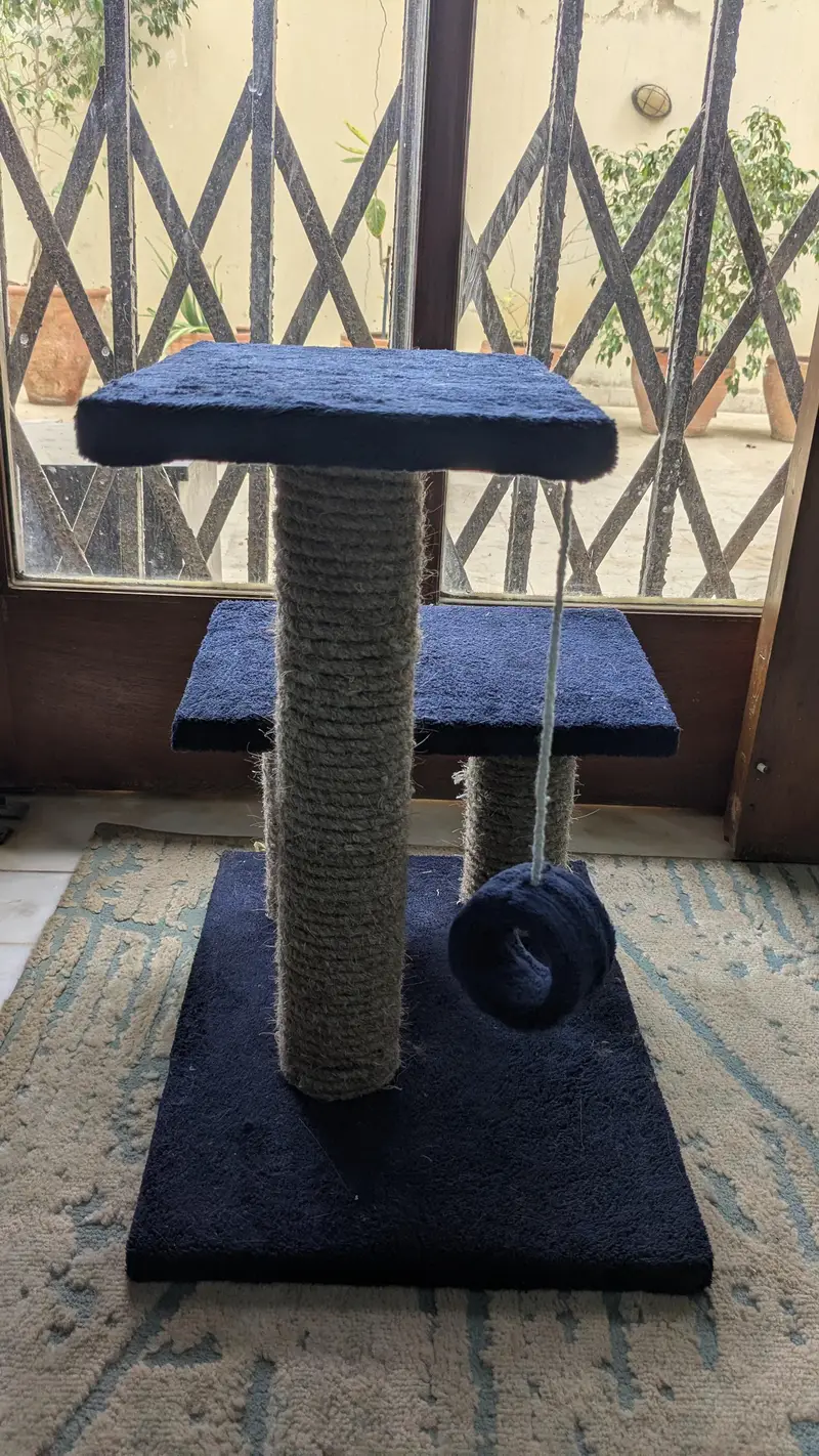 Barely Used Cat Tree & Scratching Post - Like New — photo 2