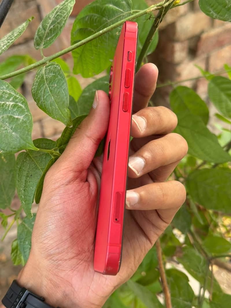 Apple iPhone 12 1