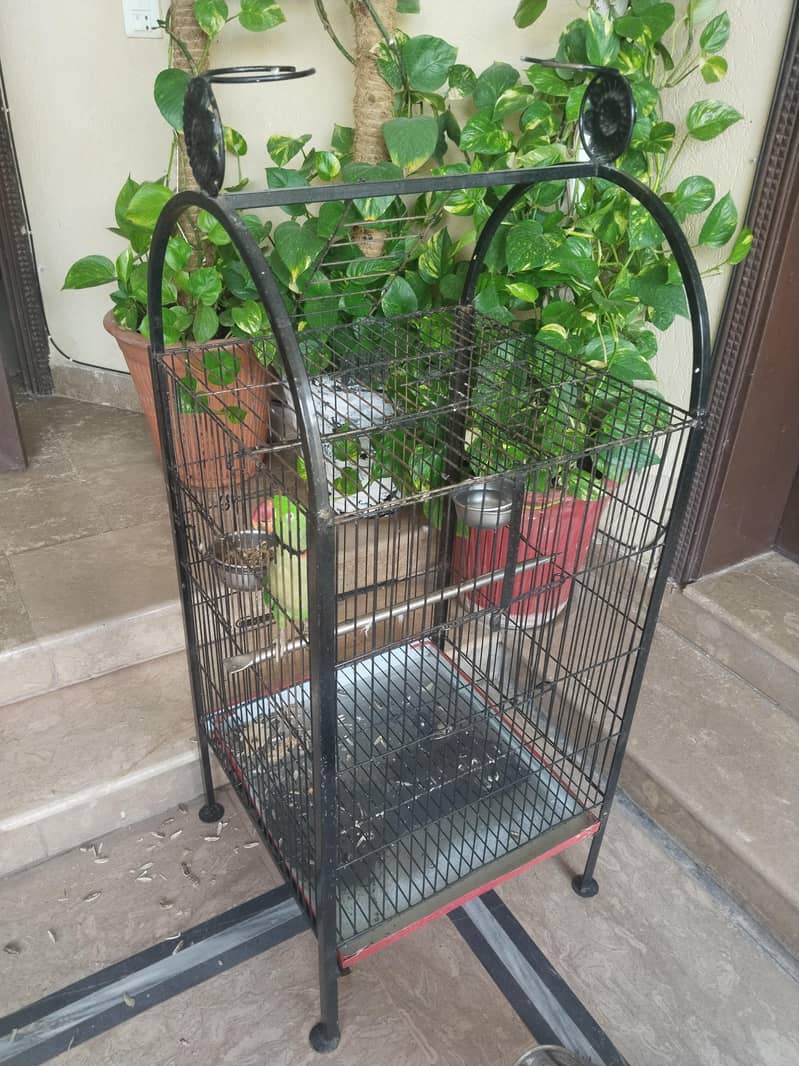 paroot cage 0