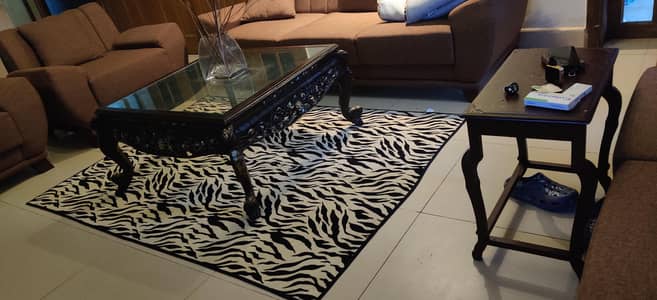 new rug just open for pictures