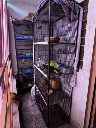 4 portion heavy cage
