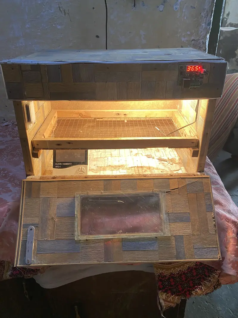 30+ Eggs manual incubator [03054576550] — photo 2