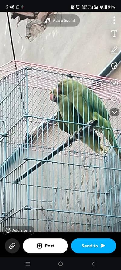 gathay parits