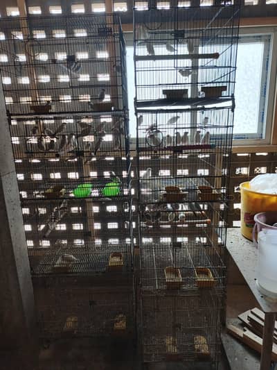 2 cages available for sale