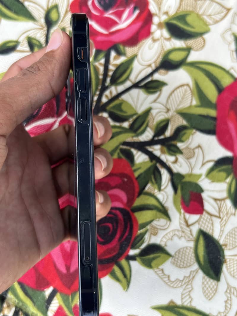 Apple iPhone 12 1