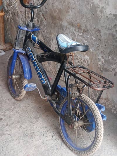by cycle