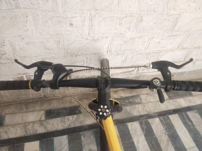 sports bicycle (Dubai import)
