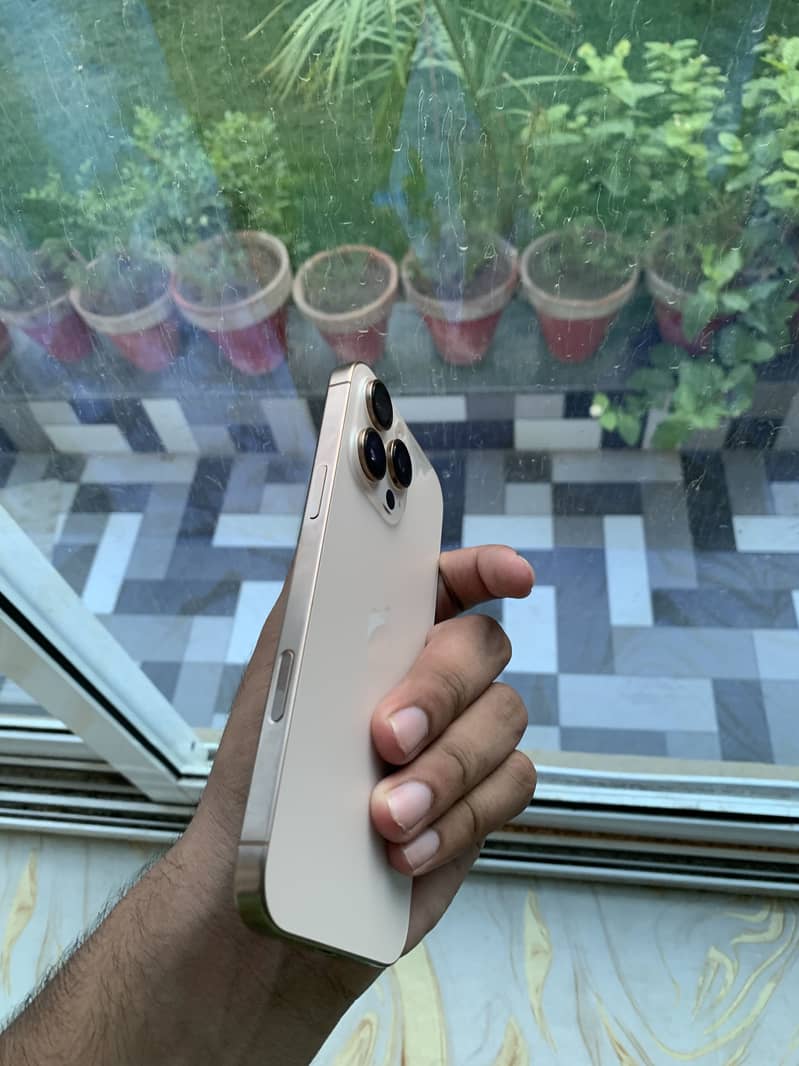 Apple iPhone 16 Pro Max 3
