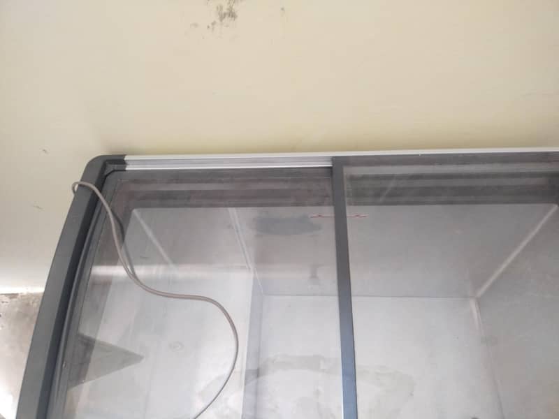 freezer 1