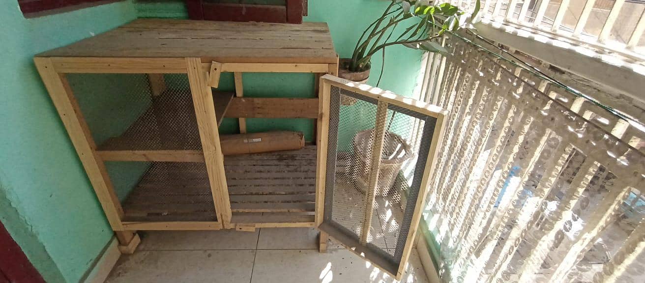 hen cage 2