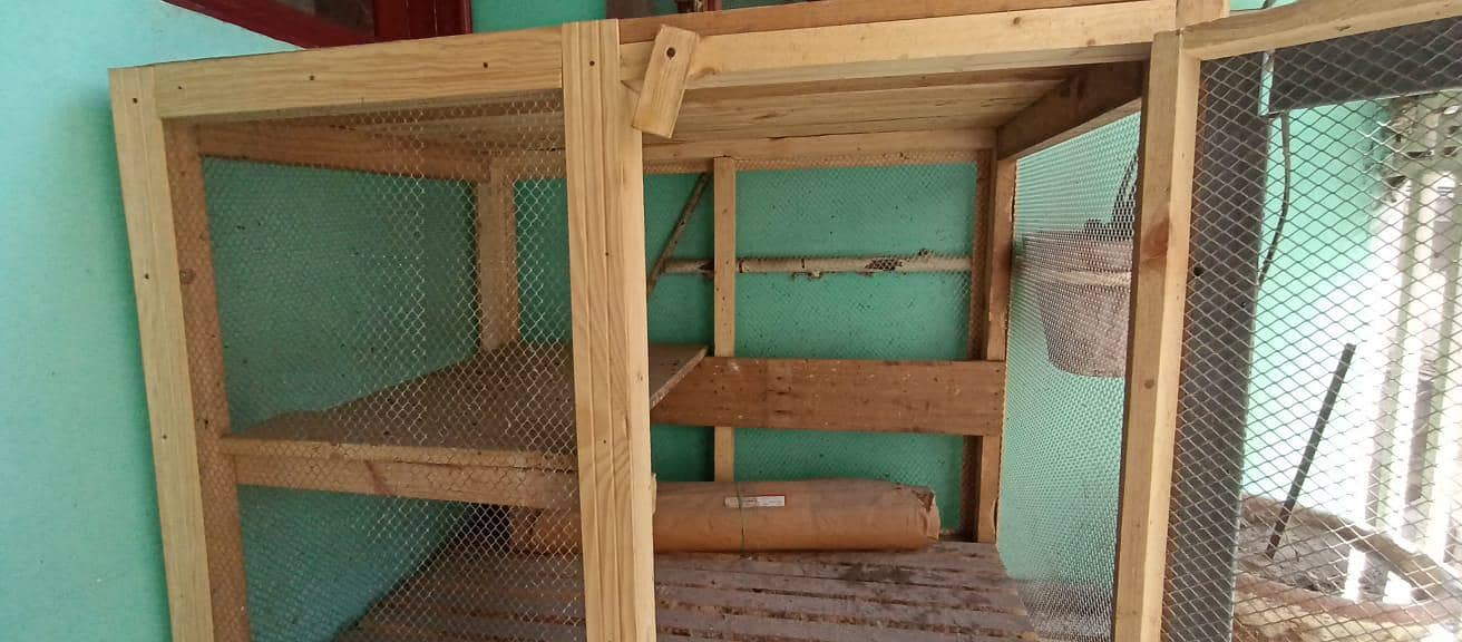 hen cage 3