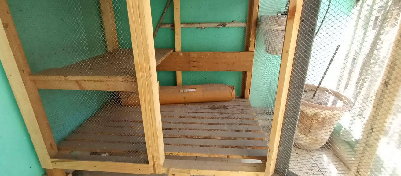 hen cage 4