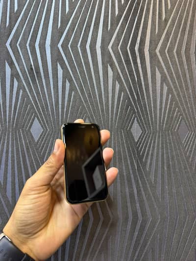 Palm PVG 100 3/32 OFFICIAL PTA