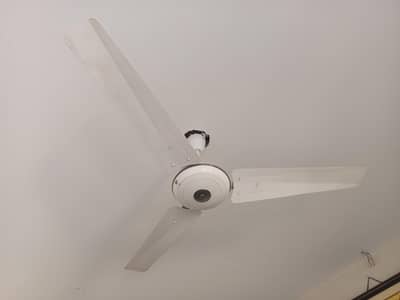 Fan for sale