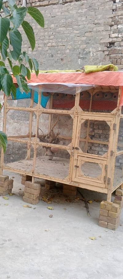 PERROT CAGE