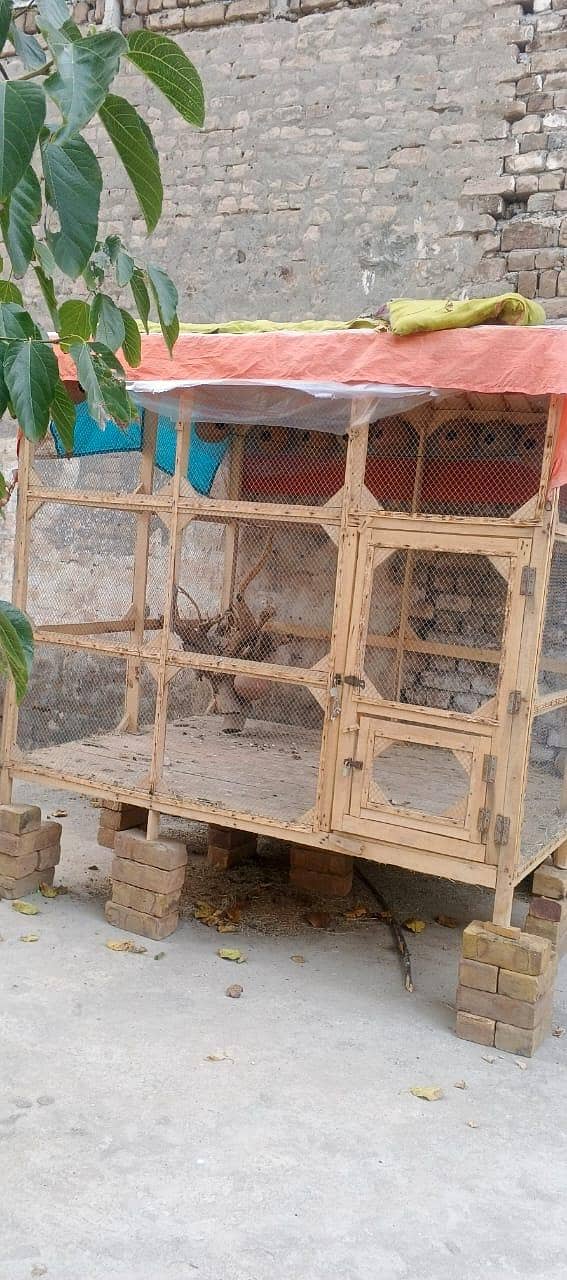 PERROT CAGE 0