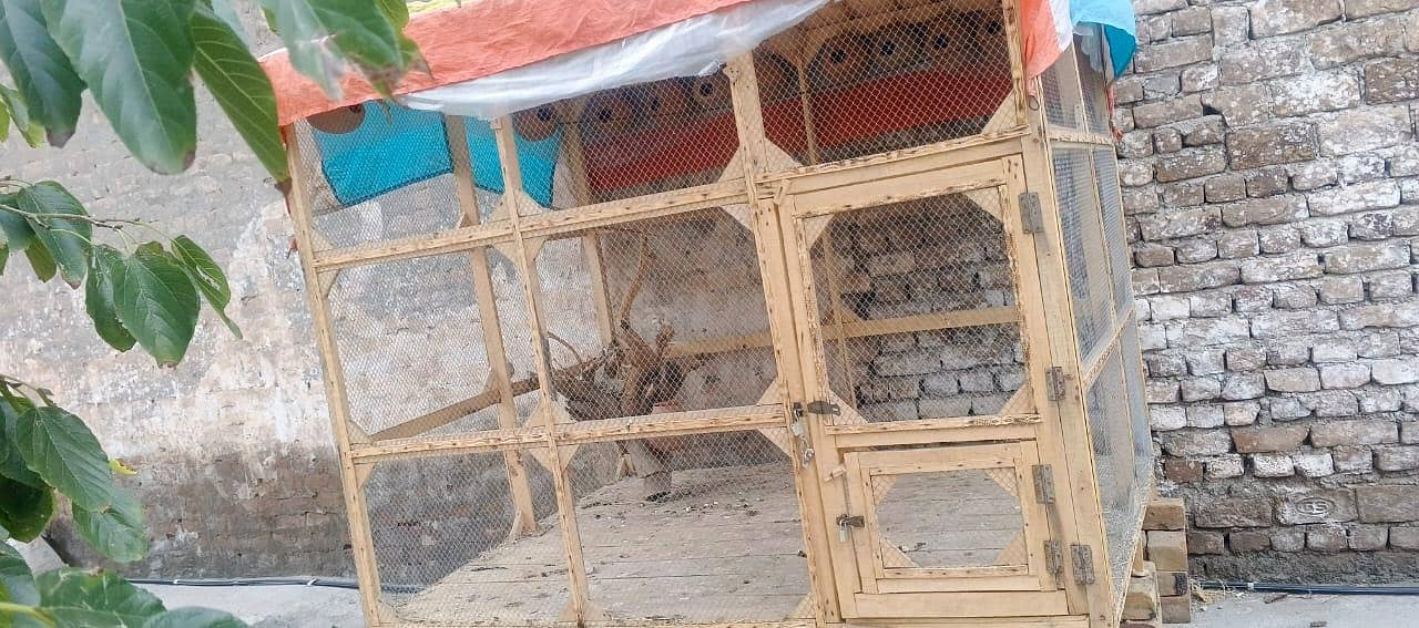 PERROT CAGE 1