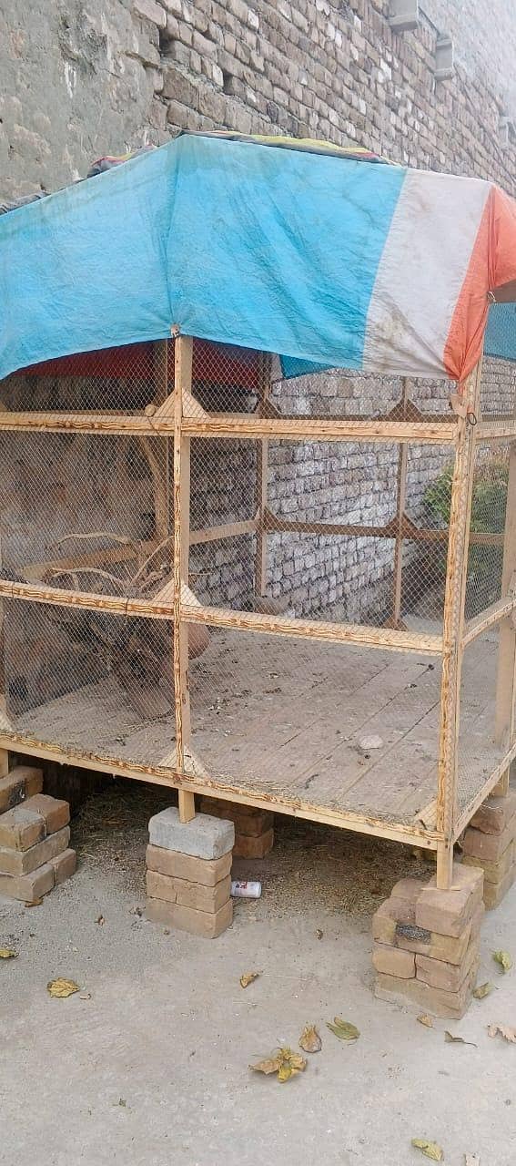 PERROT CAGE 2