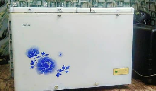 double door freezer