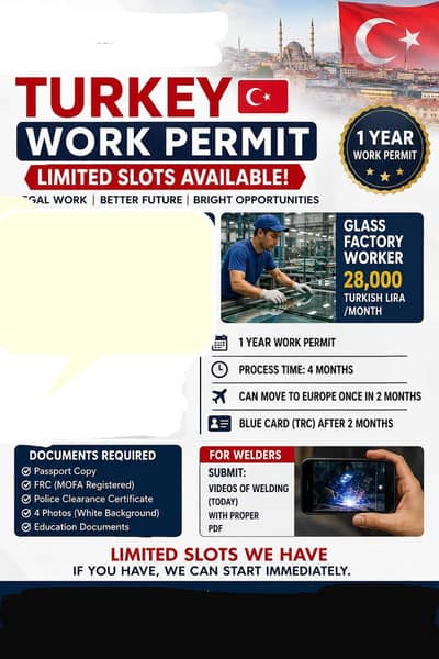 We work on all types of work visas.