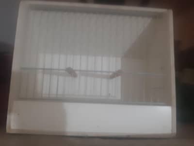 exhibition cages
