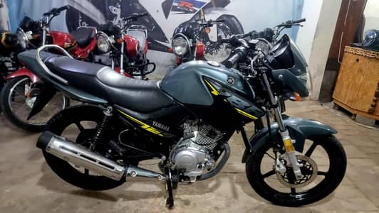 YBR 2024