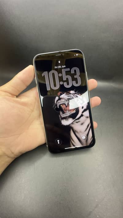 Apple iPhone 11