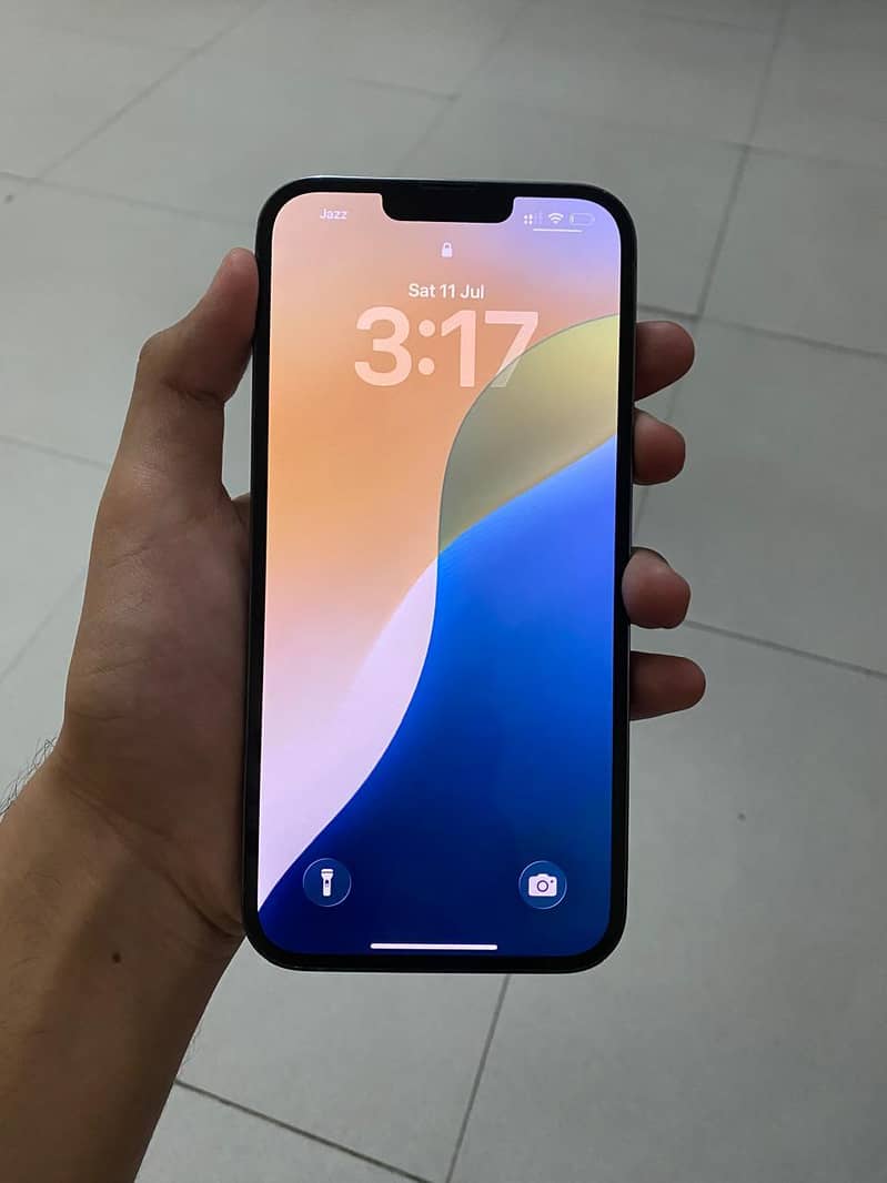 Apple iPhone 13 Pro Max 1