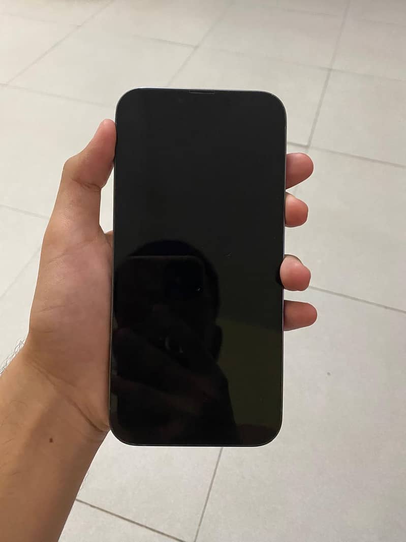 Apple iPhone 13 Pro Max 2