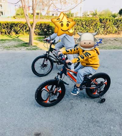 BDF BICYCLE