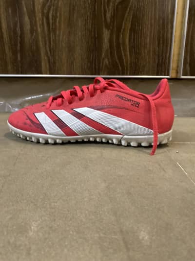 Preditors for sale