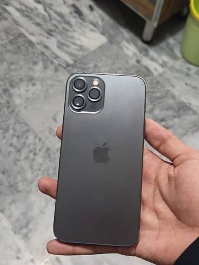 12 pro max