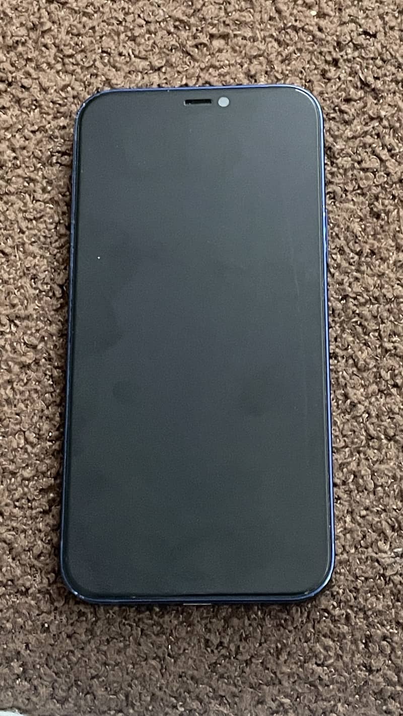 Apple iPhone 12 2