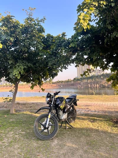 Yamaha YBR 125 (new condition)