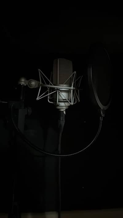 Neumann TLM 103 studio mic
