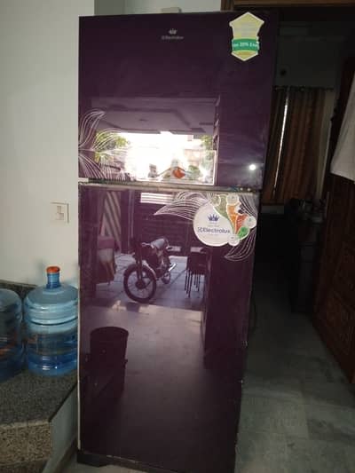 Electrolux inverter fridge consume less electricity