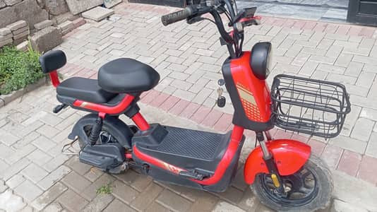 Evee Flipper 2026 Model | Totally Genuine