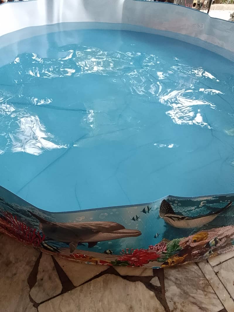 8ft intex pool 2