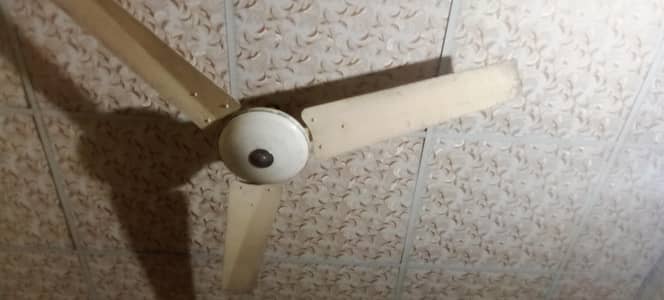 Sufi Fan ha