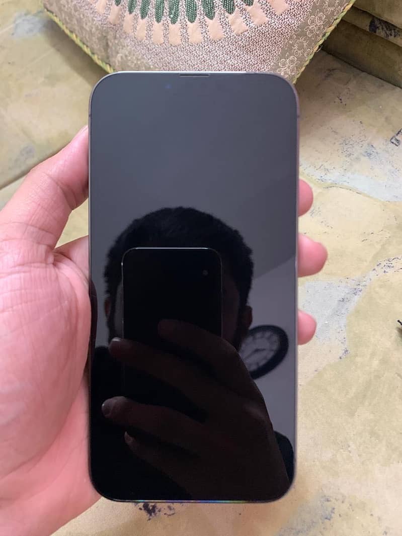 Apple iPhone 13 Pro Max 2
