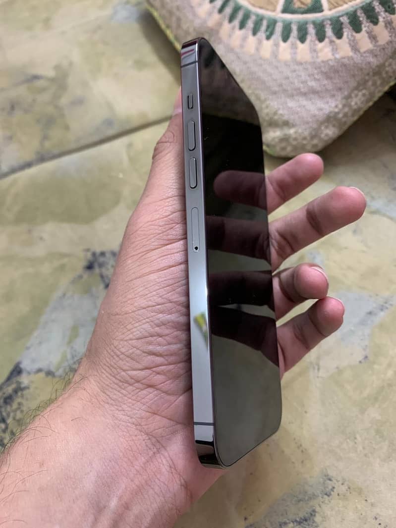 Apple iPhone 13 Pro Max 3