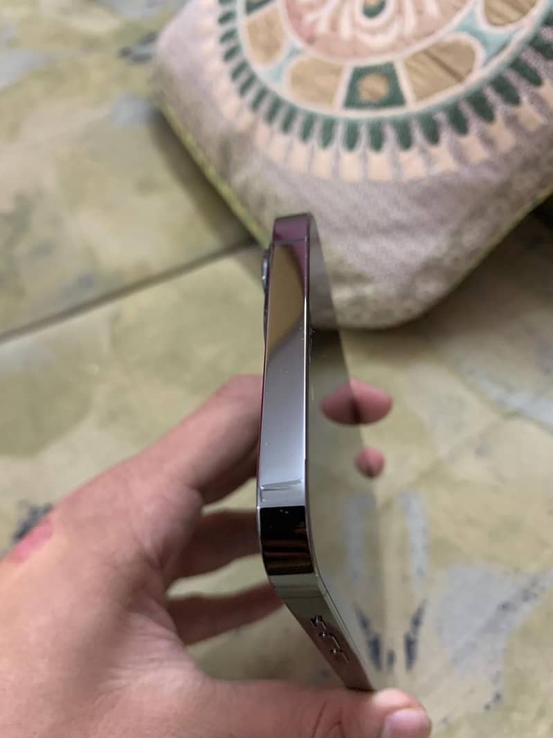 Apple iPhone 13 Pro Max 5