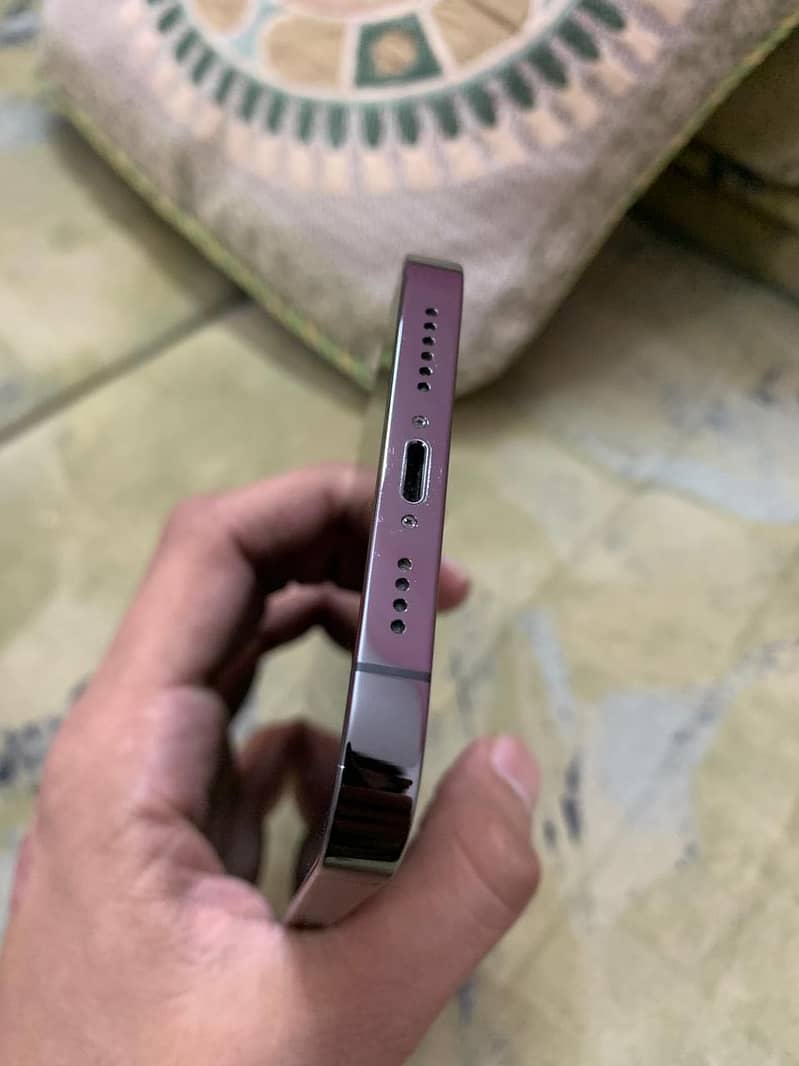 Apple iPhone 13 Pro Max 6