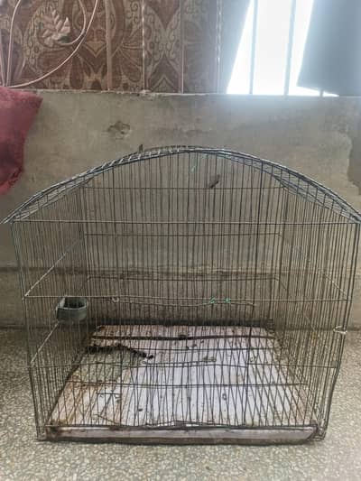 cage for sale