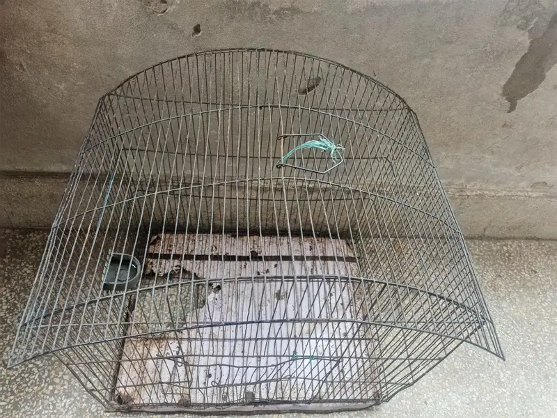 cage for sale — photo 2