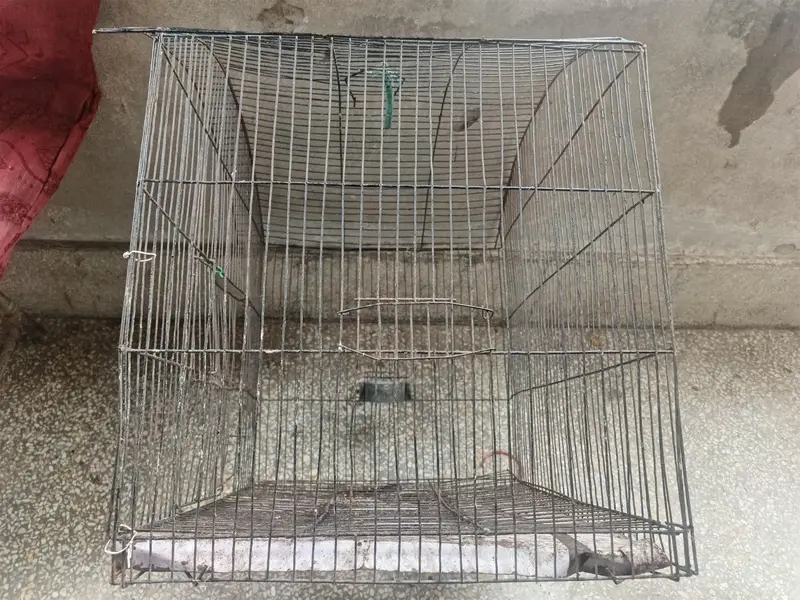 cage for sale — photo 3